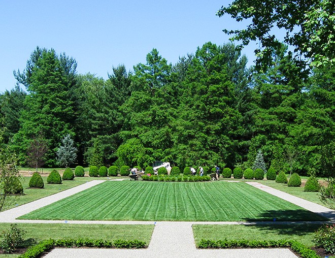 Installation-grid sod installation