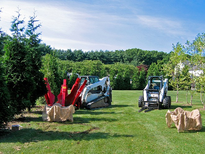 transplanting-grid transplanting mature trees